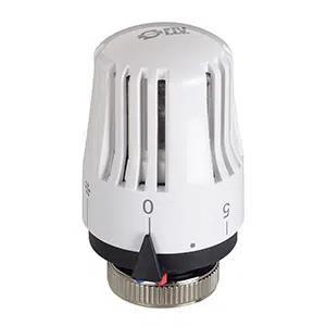 FIV TRV Head White 8 FIV TRV Head White