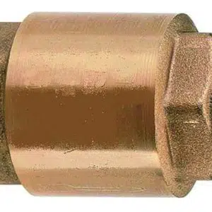 Non-return Valve 1" F-F